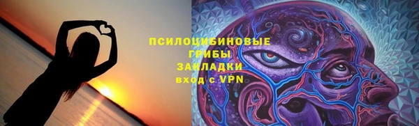 круглые Алзамай