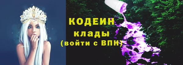 хмурый Алексин