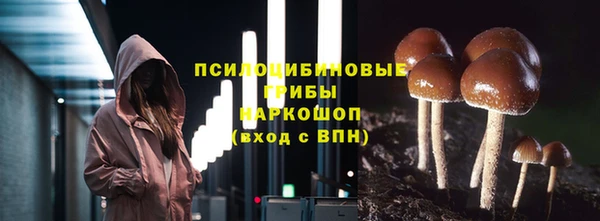 круглые Алзамай