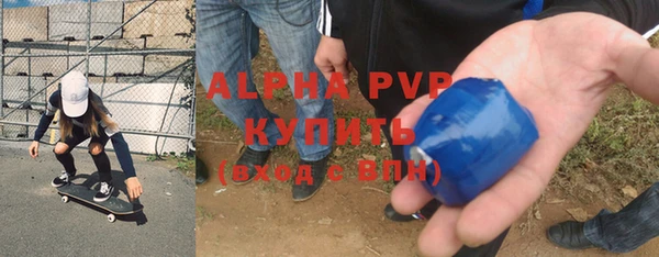хмурый Алексин